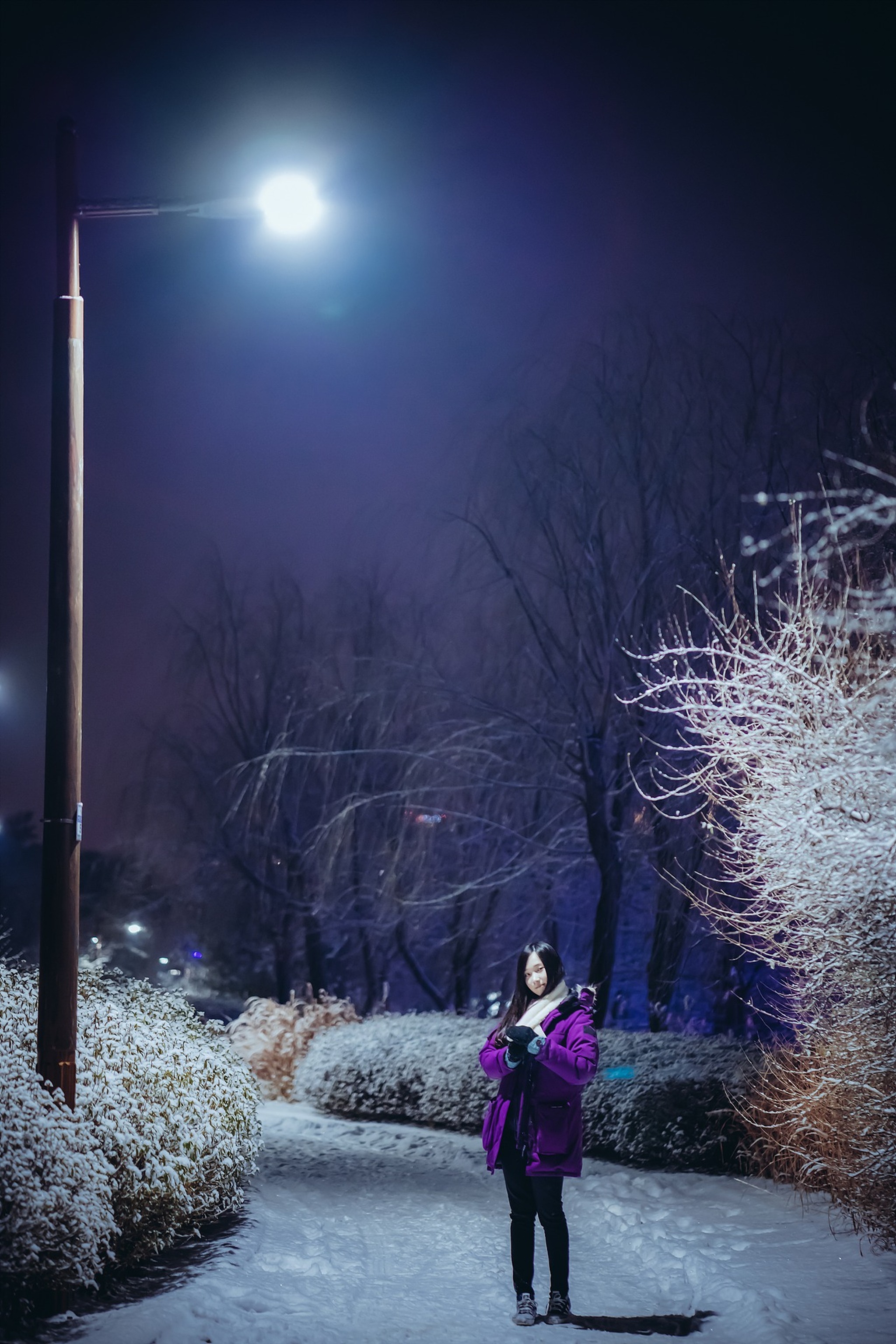 图片[1]-Bambi – NO.016 Lacerta Photography [101P]-XikXak